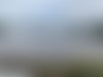 April 2021: Whipbirds, Wild Fruits and Other Magics