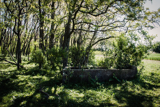 DAM_181014_0866-1 Large.jpeg
