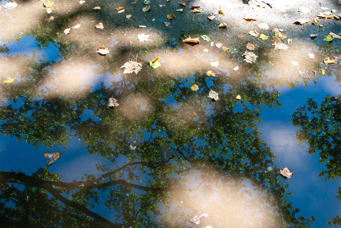 20180718-DAM_180718_2186 Large.jpeg