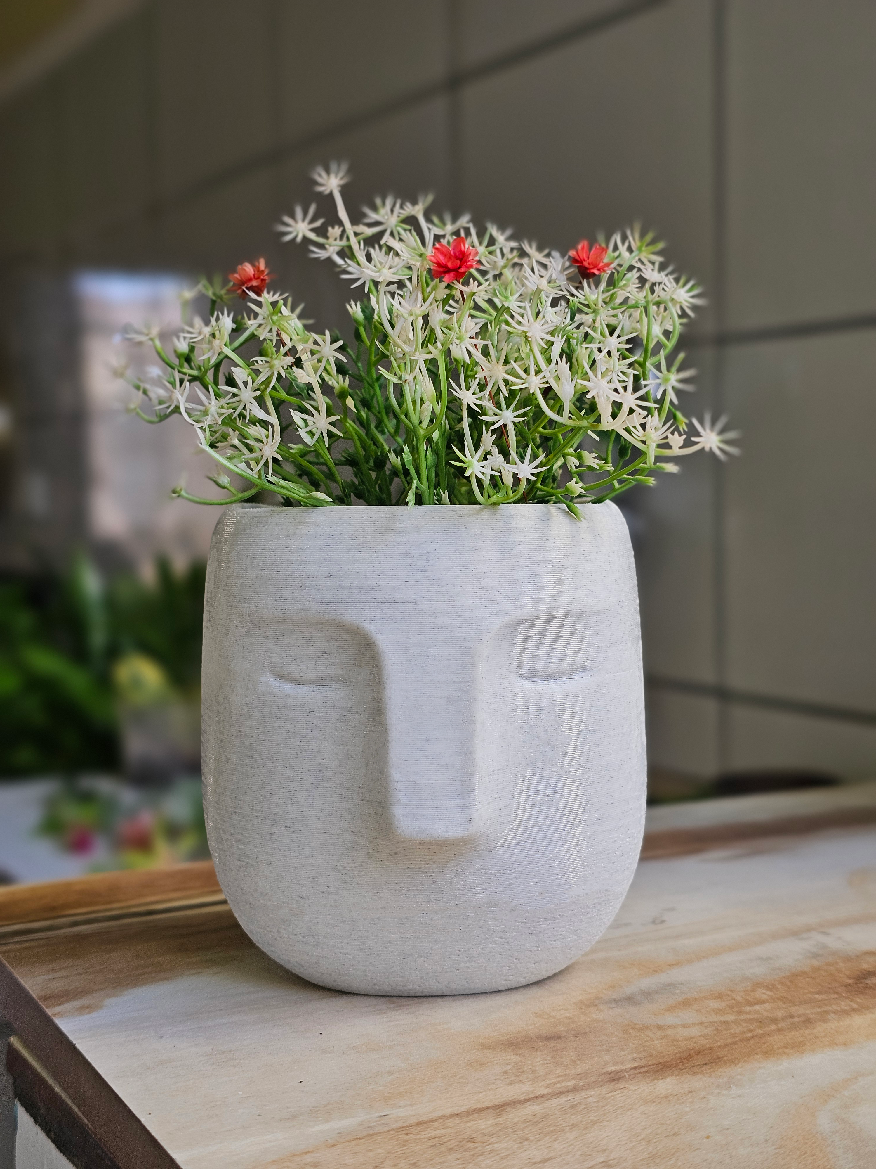 Vaso Maceta Meditação