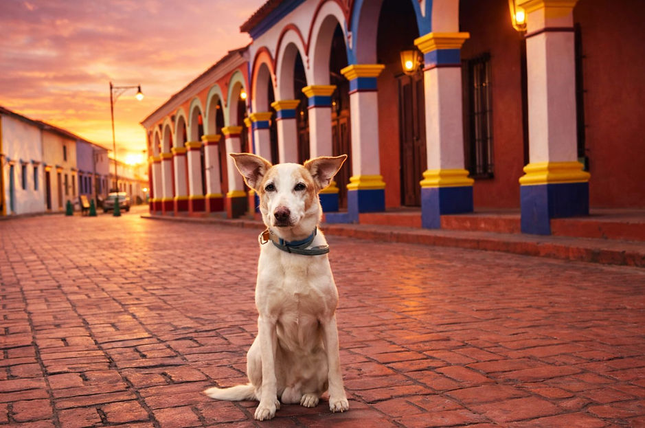 WhatsApp Image 2026-01-20 at 6.09.12 p. m..jpeg