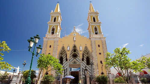mazatlan cate.jpeg