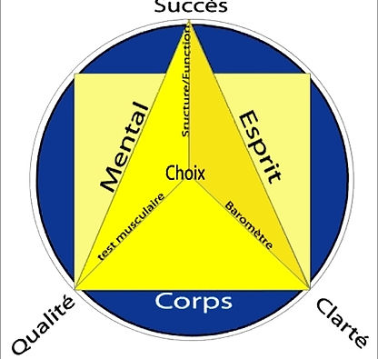 Kalie Kouassi Kinesologue Caen (Succes qualité clarte).jpg