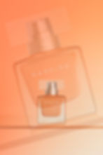 Silk Portfolio Refresh - 3.jpg