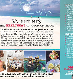 eleutheran_magazine_vrm_ad_718.jpg