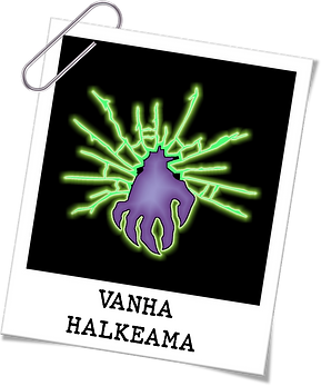 VANHA HALKEAMA_edited.png