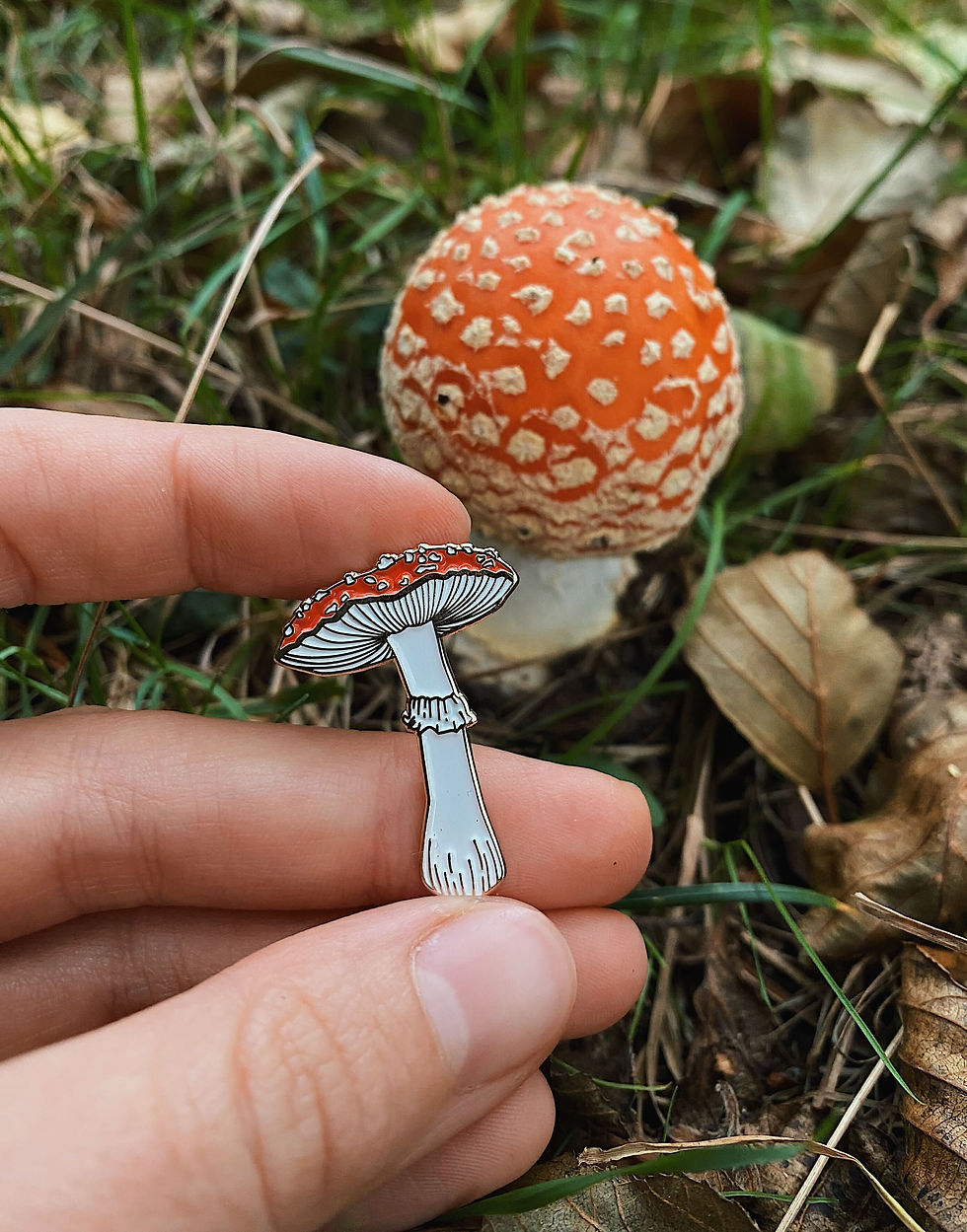 Thumbnail: Enamel Pin "Fly Agaric"