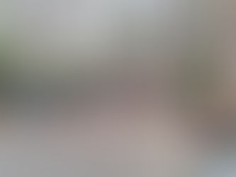 𝐈𝐌𝐏𝐑𝐎𝐕𝐈𝐍𝐆 𝐓𝐇𝐄 𝐏𝐔𝐆𝐔𝐈𝐒 𝐂𝐎𝐌𝐌𝐔𝐍𝐀𝐋 𝐅𝐎𝐑𝐄𝐒𝐓 𝐒𝐓𝐀𝐆𝐄