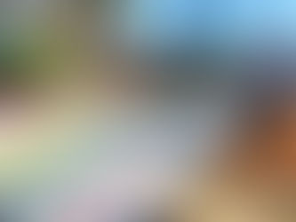 NO SEGREGATION, NO COLLECTION