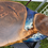 Thumbnail: Black Walnut Ocean Table