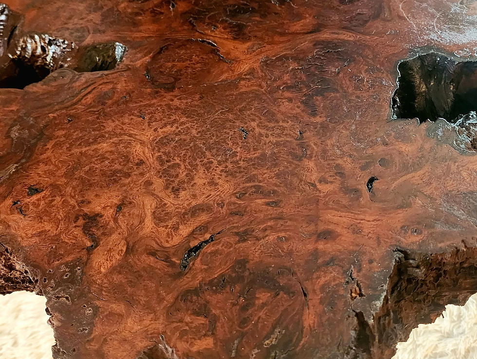 Thumbnail: California Redwood Burl Coffee Table- 63"x38"x3"