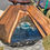 Thumbnail: English Walnut Ocean coffee table