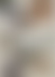 Join the PIB community as we embark on our Vision to Plan 2024 journey!