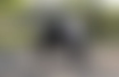 The First Why: Rediscovering the Love That Connects Us to Horses