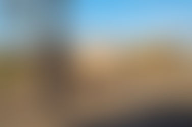 Balancing Knowledge with Presence: The Joy of Simply Being with Your Horse