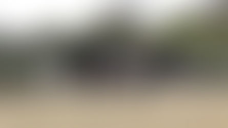 Curiosity Instead of Repetition: Avoid Drilling After the Perfect One