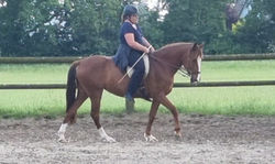 2024-05 Mona Riding_edited