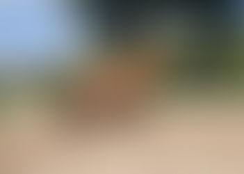 Range of Motion vs. Range of Emotion