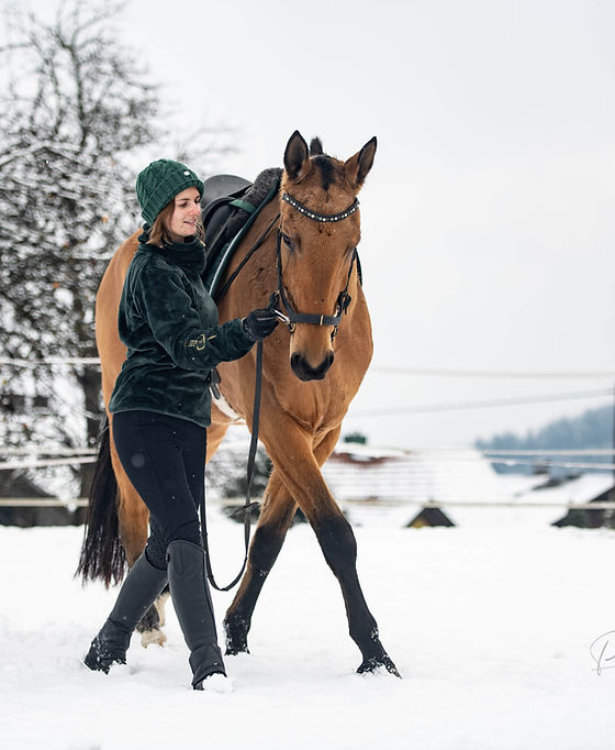 Equihumana Handarbeit Pferd