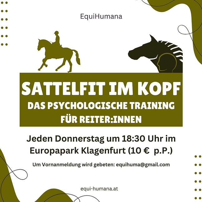 Flyer Sattelfest im Kopf