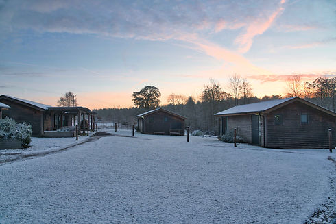 compressed winter cabins.jpeg