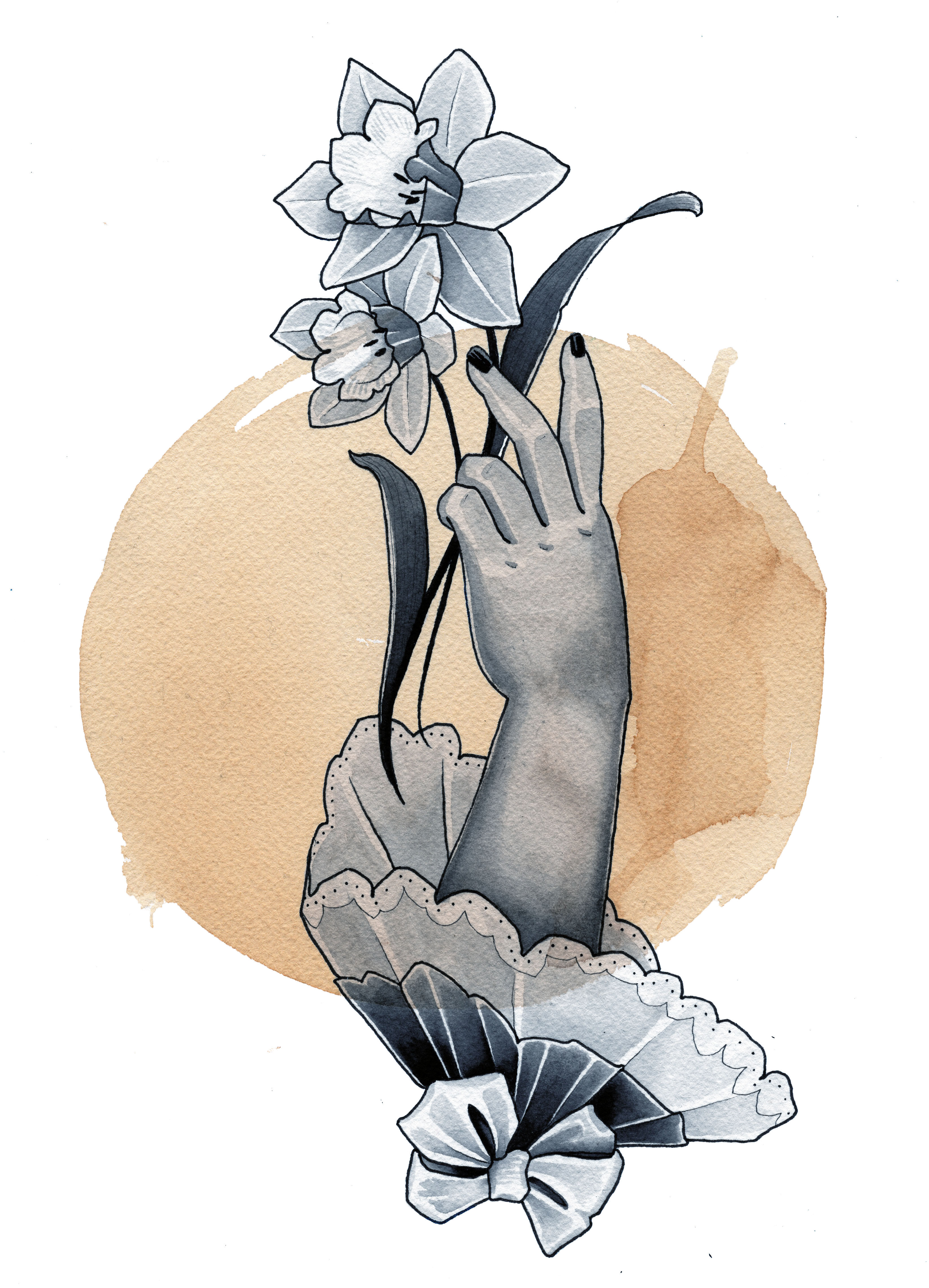 Daffodils in the summer