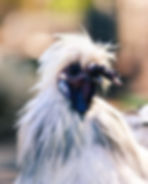 4646E35E-2CD8-40BB-9A45-5046793C7AA5