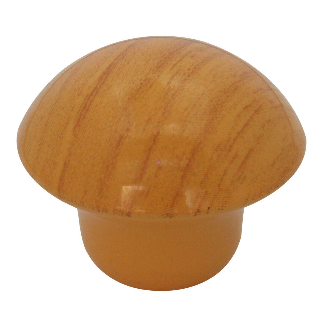 Açık Kayın Mantar Düğme