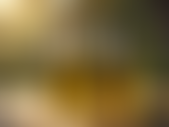 Attolive: Gelenekten Geleceğe Lezzet Yolculuğu