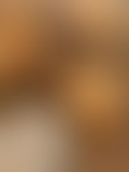 Brioches fourrées au Nutella