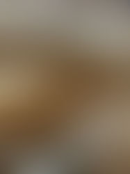 Cookies aux noix de pécan 