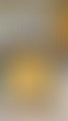 Nouilles sautées au poulet