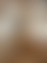 Yaourt au lait concentré sucré