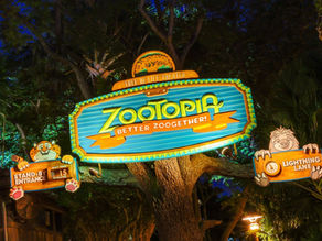 Colorful Zootopia sign in a tree-lined setting at night. Text reads "Zootopia: Better ZooGether!" with "Stand-by Entrance" and "Lightning Lane" signs.