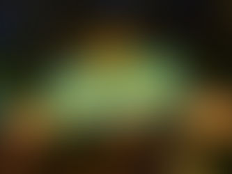 Colorful Zootopia sign in a tree-lined setting at night. Text reads "Zootopia: Better ZooGether!" with "Stand-by Entrance" and "Lightning Lane" signs.