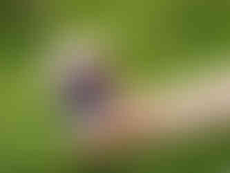 Hand holding a plastic cup of iced drink with layers, whipped cream, and candy toppings. Blurred green background, colorful and refreshing.