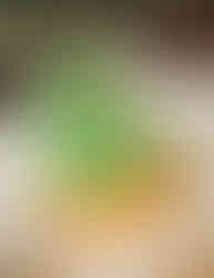 Fried Ice Cream Christmas Tree.