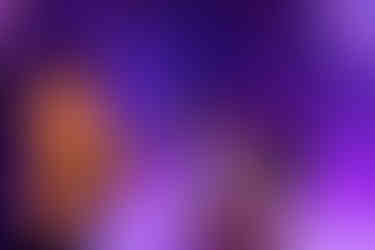 Three people in a purple room; one takes a photo while two admire a glass-encased rose. The mood is joyful and curious.