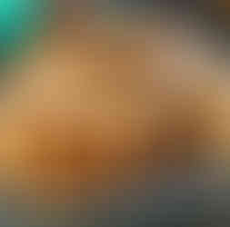 toasted smores funnel cake