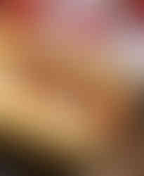 Holiday Dinner Hot Dog.