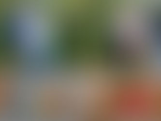 2025 Holiday Themed Magic Shots At Disney's Animal Kingdom