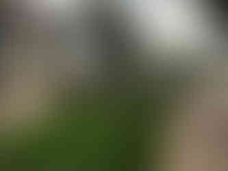 Magnolia Bend Parterre Place Buildings Exterior