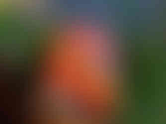 2025 Springtime Surprise Backpack featuring the race themes.