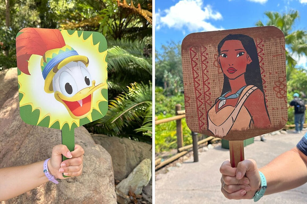 Two handheld fans, one with a duck and the other with a woman, held against a lush outdoor setting. Fans are colorful with patterned edges.