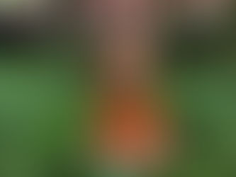 Toy figure of a lion with a black mane and cunning expression held against lush greenery. Background shows trees and a building.