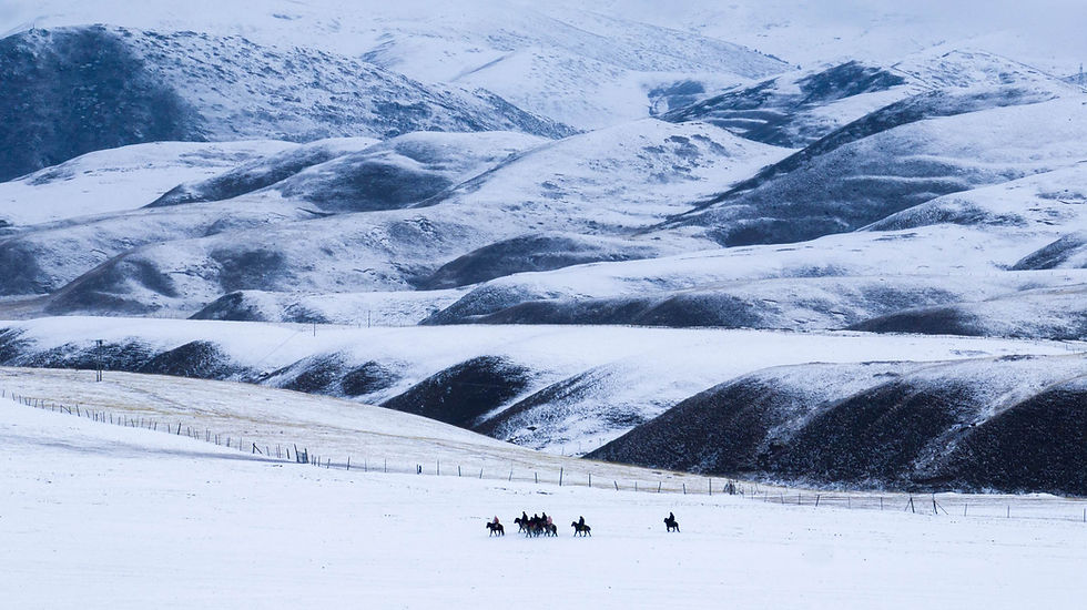 Thumbnail: The Plateau Beyond, Silent Boundaries