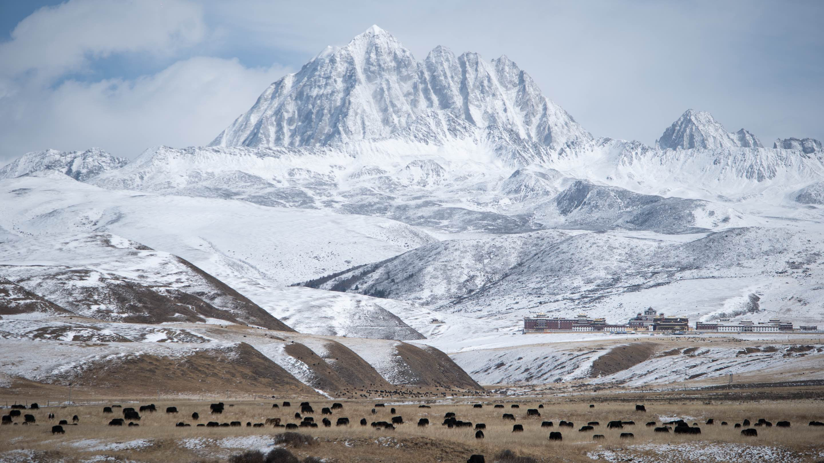 The Plateau Beyond, Silent Boundaries