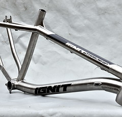 ignit_cadre_stic_trailwhip_1.png