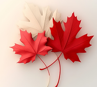 Maple Leaves