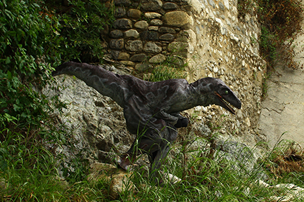 gallery_image_02
